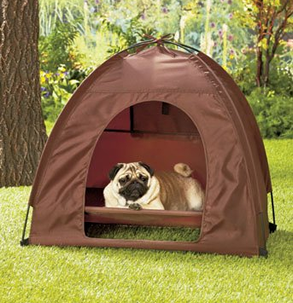 Elevated Dog Camping Tent Set